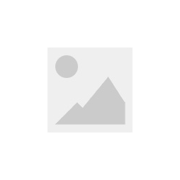 RS-009 stopwatch timer
